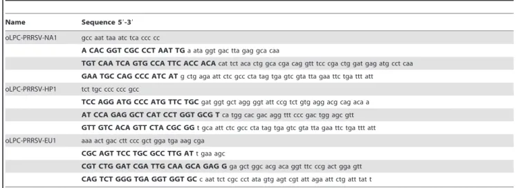 Figure 1. Analytical sensitivity of the PRRSV-multiplex-assay based on 10-fold dilution series of positive standard RNA