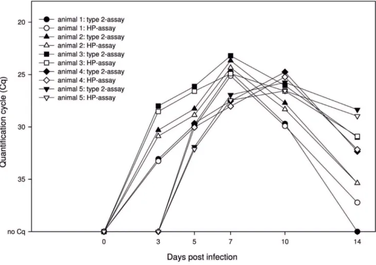 Figure 4. Analyses of serum samples from PRRSV-infected and in-contact pigs with the multiplex RT-qPCR