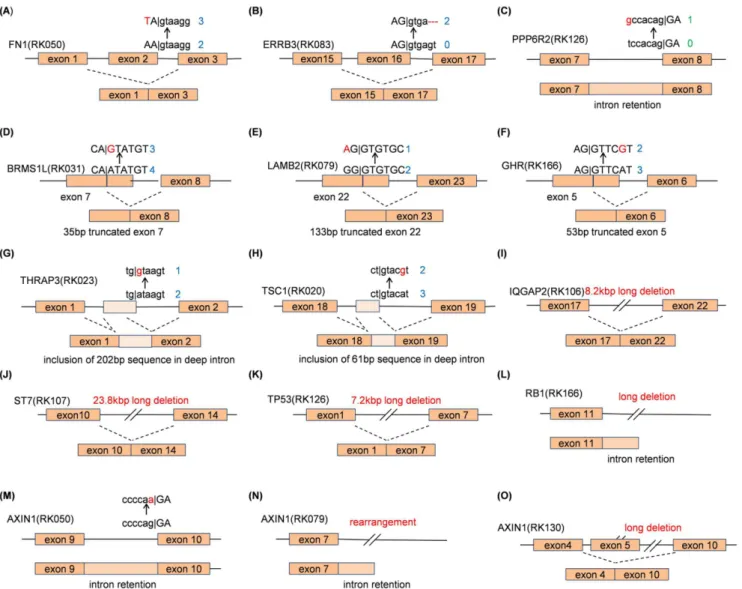 Fig. 2. Several examples of genomic changes other than essential splice-site mutations causing splicing aberrations obtained from our comparative whole genome and transcriptome sequencing analyses
