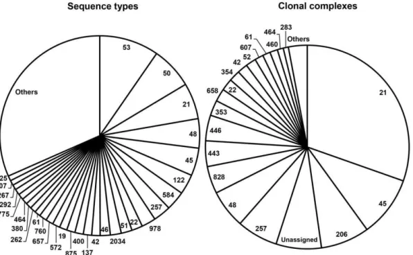 Figure 3. Attributed probability (%) for the five most represented sequence types and clonal complexes to originate from chicken, cattle, sheep, and the environment