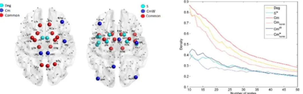 Fig. 2. Analysis of hubs and nodes with highest communicability. A) maps of the nodes with highest Deg and/or Cm