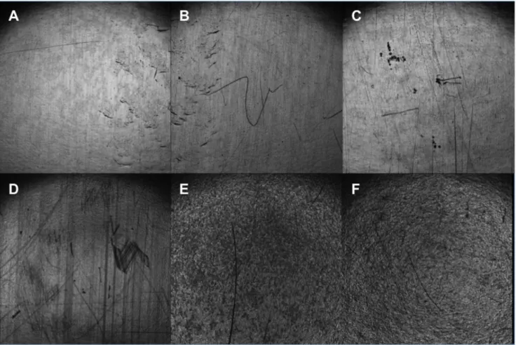 Figure 1. CLSM reflctance image of (A) HDPE control, (B) 0.40% TPP-HDPE, (C) 0.40% TMPyP-HDPE surfaces, (D) HDPE control, (E) 0.40% MB-HDPE, (F) 0.04% TBO-HDPE