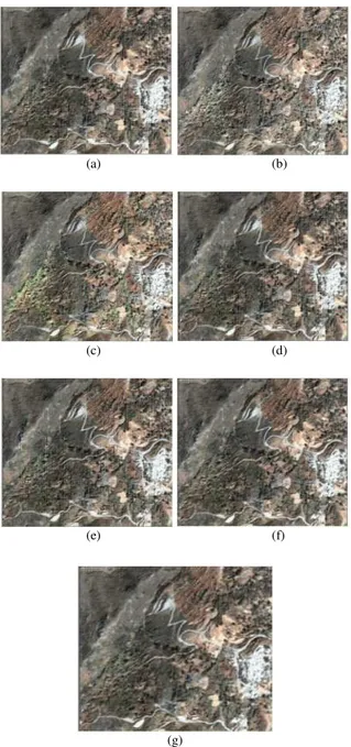 Fig. 5:  IKONOS  Panchromatic  image  and  Multispectral  image  (×4  zoom).  (a):  PAN  image; (b): MS image 