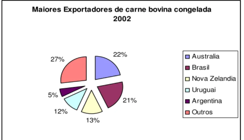 Figura 8 - Maiores exportadores de carne bovina congelada 2002 e seus respectivos market shares  Fonte: Comtrade (2008, site)
