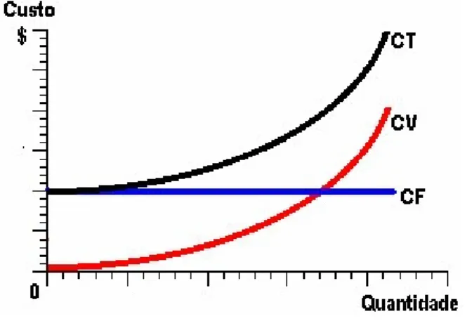 Figura 1 - Curvas de Custos Totais  Fonte: PINDYCK &amp; RUBINFELD, 2005. Elaboração: ALDEIA, 2008