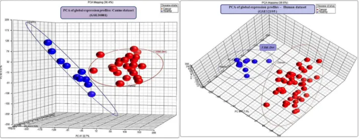 Figure 1. PCA of global gene expression profiles of canine and human datasets. Three dimensional plots of the PCA of canine and human datasets using the first three principal components of global gene expressions