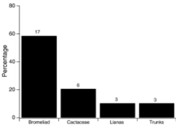 Figure 2 - Frequency distribution of Aparasphenodon brunoi according to microhabitat categories.