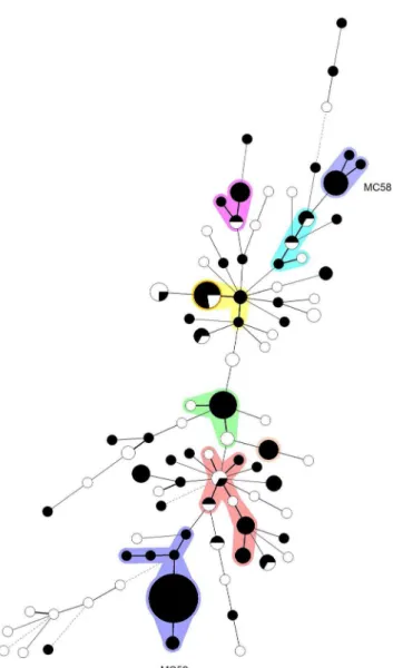 Figure 3 shows a minimum spanning tree of the MLVA types from all ESBL-producing isolates collected in our institute