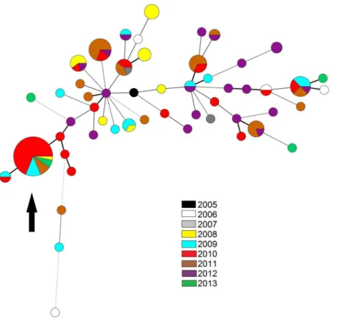 Figure 3. Minimum spanning tree of the 130 unique ESBL-producing K. pneumoniae strains collected in our hospital, typed by MLVA
