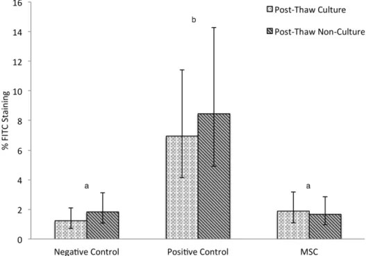 Figure 1. Mean FITC anti-BrdU staining following two-way MLR. Lymphocyte proliferation of un-stimulated (negative control) and allogeneic stimulated (positive control) compared to stimulated lymphocytes treated with MSC