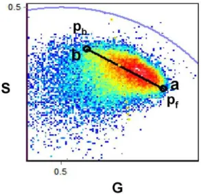 Figure 4 shows the intensity image of untreated RRBCs labeled with CaG-1 at 37 uC with its corresponding phasor plot