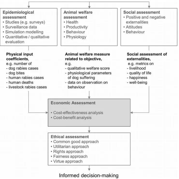 Figure 1. Overview of a conceptual integrated framework for the assessment of rabies control strategies.