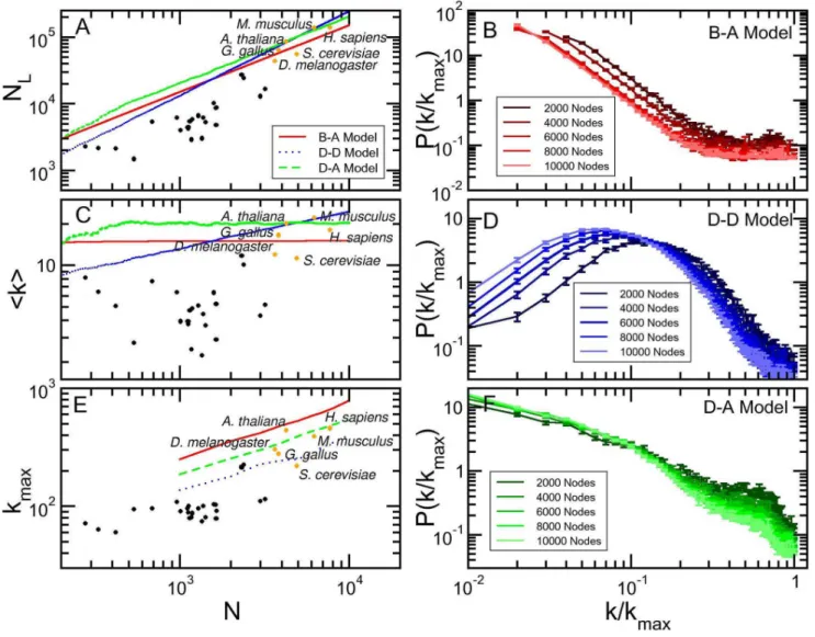 Figure 2. Evolution of simulated models. Baraba´si-Albert, duplication-divergence and duplication-acquisiton networks (red, blue and green lines, respectively)