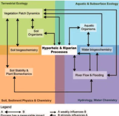 Fig. 2. Schematic overview showing scientific domains and related processes affecting ecosys- ecosys-tem functions in river corridors that should be considered during restoration