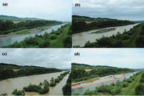 Fig. 4. Upstream view of the main island of the Swiss River Thur monitored with high-resolution remotely controllable digital cameras (see Pasquale et al., 2011 for details)