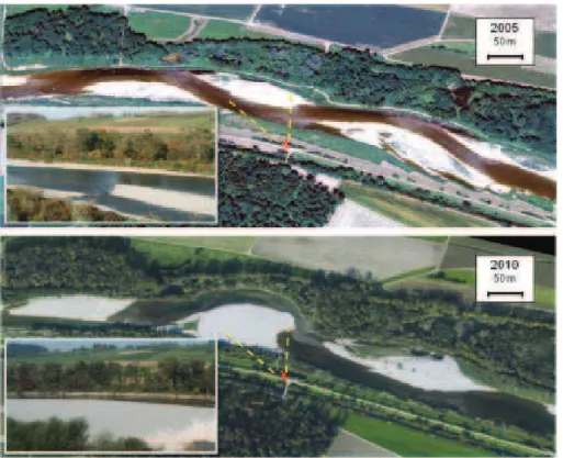 Fig. 5. Recent erosion: trouble brewing? Starting with the floods of 2010/2011 excessive ero- ero-sion began in the area pointed out by the yellow dashed lines (river flow is from right to left).