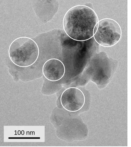 Fig. 5. Transmission electron microscopy bright-field image of a silicate particle with grains of nanometre-sized crystallites of iron oxides (marked by white circles).