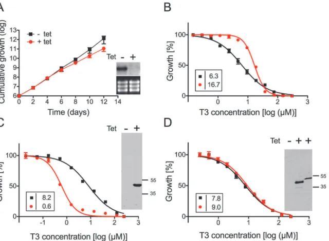 Fig 3. Sensitivity of T. brucei procyclic forms towards T3 after modulation of TbMCP14 expression