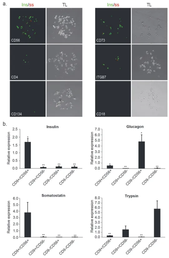 Fig 3. Second iteration of FCCS identifies marker combinations for improving the isolation of insulin producing cells