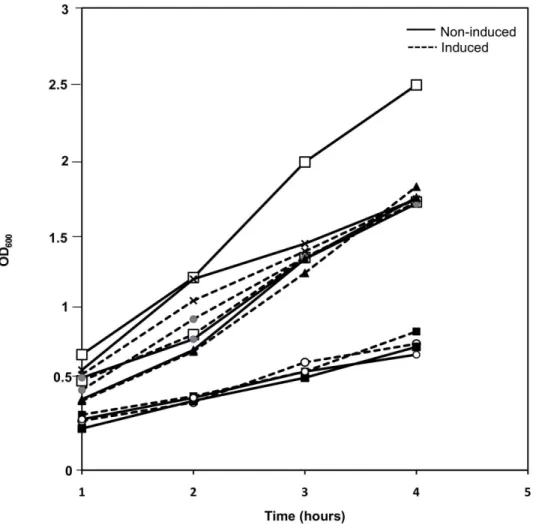 Figure 2. Growth curves for induced (–) and non-induced (–) cells of five different Lactobacillus species containing pLp3050NucA- pLp3050NucA-SH71