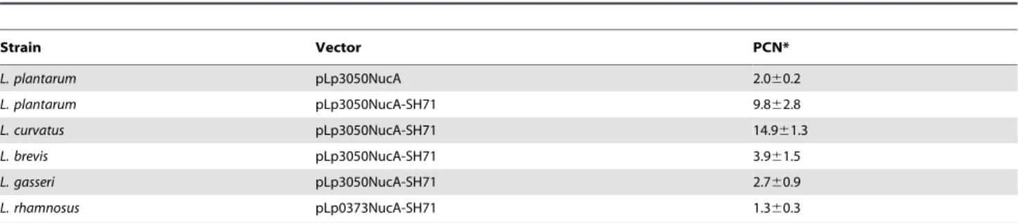 Table 4. Plasmid copy number (PCN) in lactobacilli harboring vectors with the NucA reporter gene.