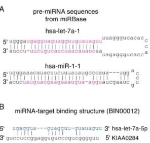 Figure 3A illustrates the base-pairing distribution of the 321 miRNA duplexes we have selected