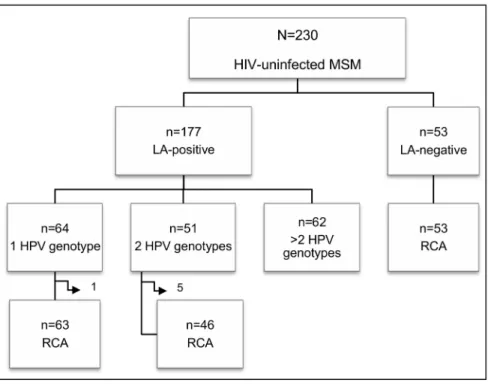 Figure 1. Genotype-specific prevalence of anal HPV infection. High-risk, possibly and probably high-risk types were considered as high-risk HPV, while low-risk and undetermined types were considered as low-risk HPV.