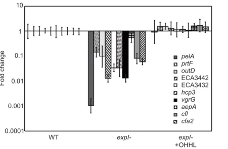 Figure 2. OHHL Complementation of Selected Quorum Sensing-regulated Genes. RT-PCR analysis of selected genes after 18h growth of wild type P