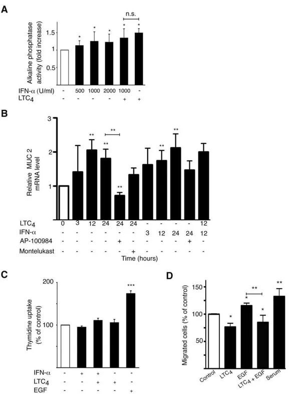 Figure 4. CysLT 2 R signaling mediates anti-tumorigenic effects. (A) An alkaline phosphatase activity assay was used to determine the differentiation of Caco-2 cells