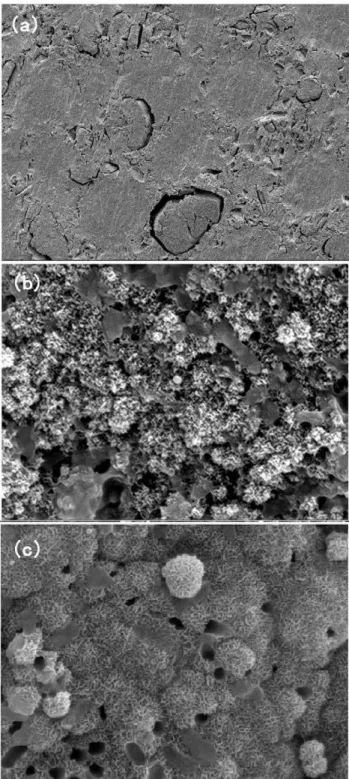 Figure 3. SEM photographs of the surface of PSB bone cement before and after soaking in SBF for different periods
