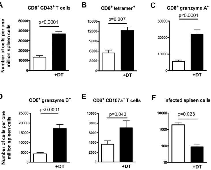 Figure S1 Depletion of Tregs in FV- FV-infected mice expressing a DT receptor/