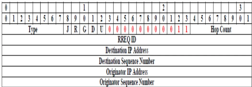 Figure 4.  The Format of a Message RREQ 3  