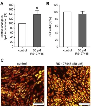 Figure 7. Effects of the HTR2B -antagonist RS127445 on neutral lipid accumulation during human primary (pre)adipocyte differentiation