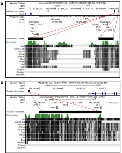 Figure 4. Placenta TFBS clusters in the regulatory domain of genes with important roles in placenta development