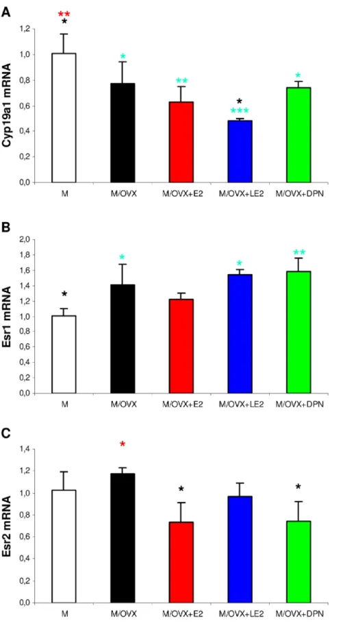 Figure 6. The impact of gonadectomy and ER agonist treatments on mRNA expression of aromatase and ER genes in the hippocampus of middle-aged OVX rats