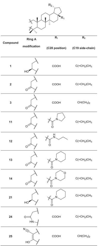 Fig 1. Chemical structures of the parental compound betulinic acid and its derivatives.