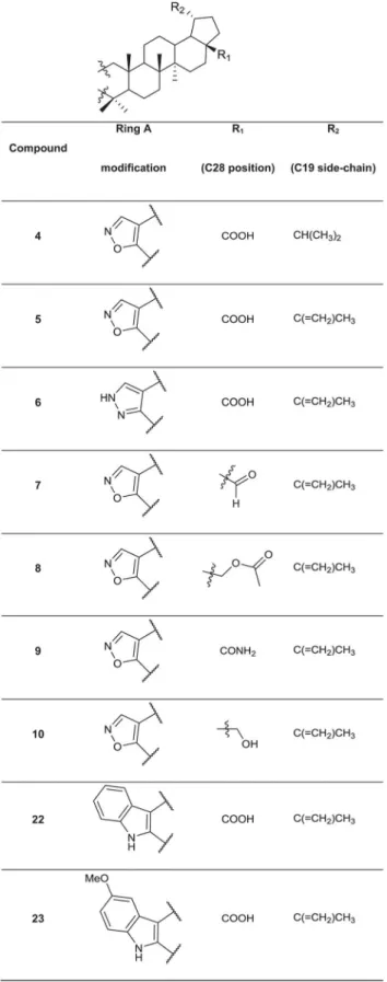 Fig 2. Chemical structures of the fused 5-membered ring derivatives of betulinic acid.