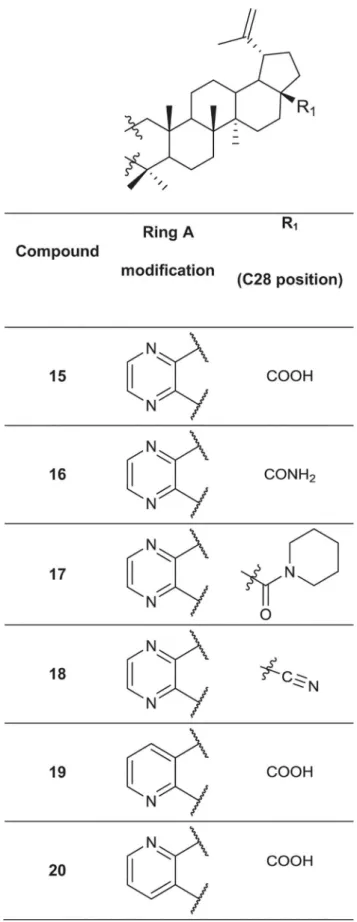 Fig 3. Chemical structures of the fused 6-membered ring derivatives of betulinic acid.