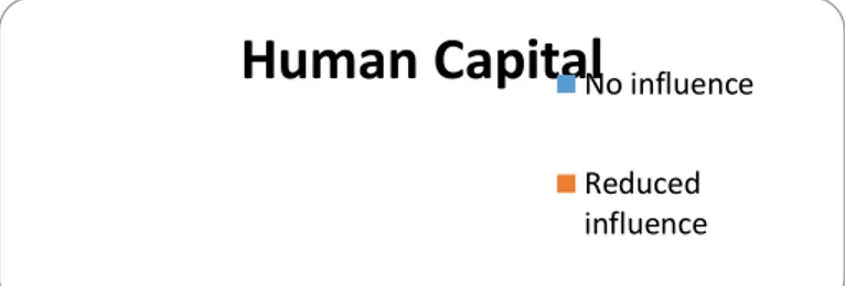 Figure 3: The influence of the human capital on the company competitiveness Source: data processed by the authors, according to the questionnaire