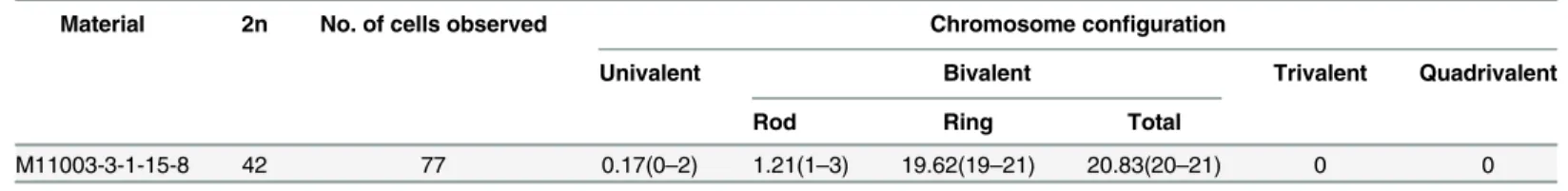Table 2. Chromosome numbers and configuration pairing at mitotic and meiotic of M11003-3-1-15-8.