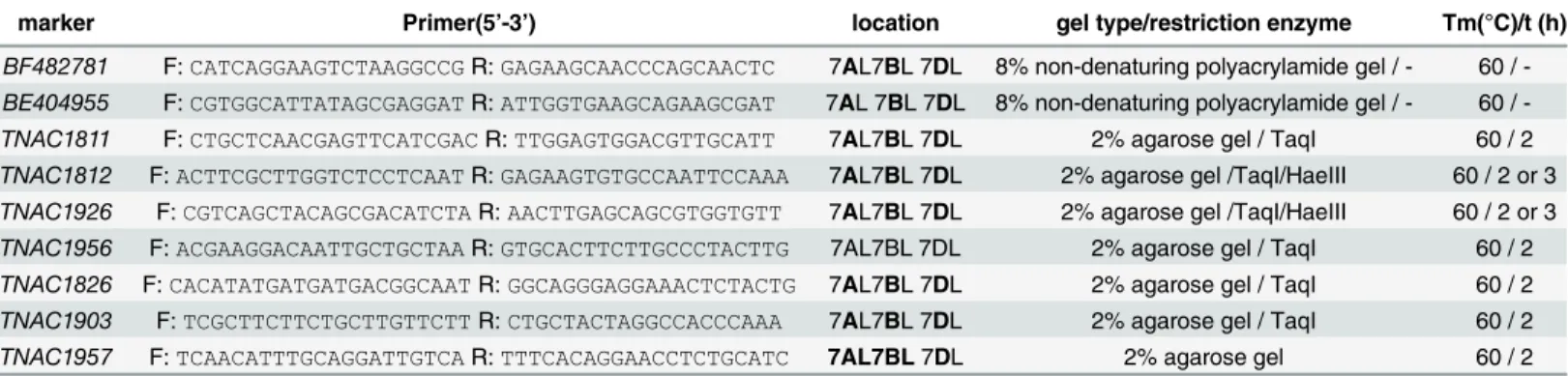 Table 3. EST-STS and PLUG polymorphic markers mapped on seventh homoeologous groups applied to linkage analysis of the Lm#7Ns.