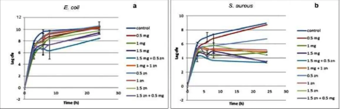 Fig. 3. The effect of the combination of MgO and ZnO nanoparticles on E. coli and S. aureus in liquid medium, 3(a) E
