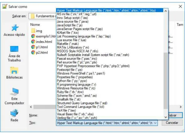 Figura 2. Escolha da extensão do arquivo como do tipo html. 