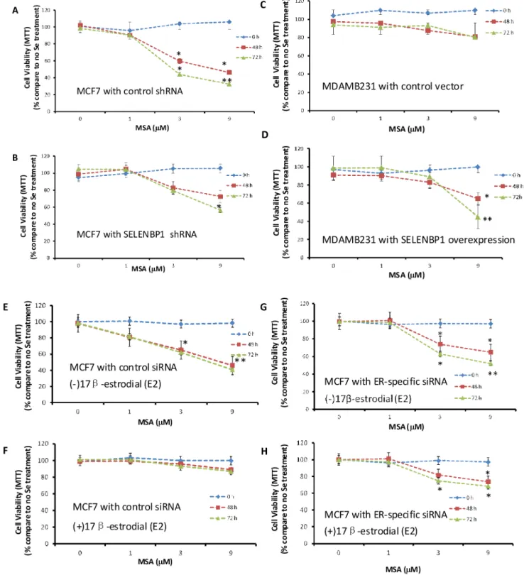 Figure 6. Cell Proliferation is Inhibited in SELENBP1 High Expression Cell Lines but not in SELENBP1 Low Expression Cell Lines upon MSA Treatment