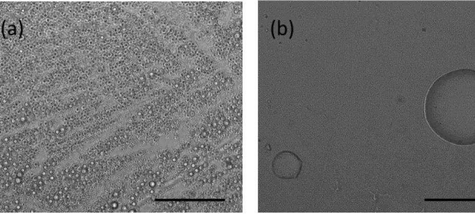 Figure 1. Images of isoprene-derived SOM particles on a hydrophobic substrate. (a) SOM particles after collection from the OFR and (b) SOM particles after being exposed to a cycle droplet growth, coagulation, and evaporation (see text for further details)
