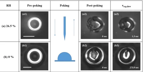 Figure 4. Optical images from typical poke-flow experiments on isoprene-derived SOM at (a) 25.1 % RH and (b) 0 % RH
