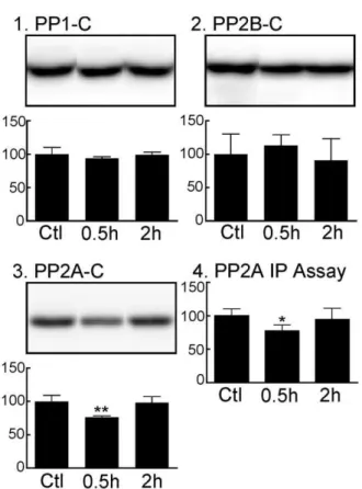 Figure 7. Effect of propofol on tau phosphorylation in Tau-SH- Tau-SH-SY5Y cells. Cells were harvested after 1 h incubation at 37uC (n = 4) or 30uC (n = 3) in the absence of propofol (A), or following 1 h exposure to 10% intralipid in DMEM (Ctl, n = 3) or 