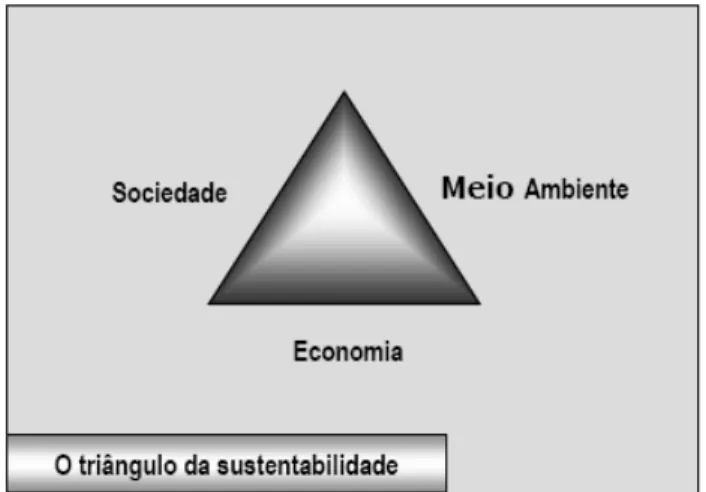 FIGURA 1: Os 3 pilares do Desenvolvimento Sustentável  FONTE: BSD 