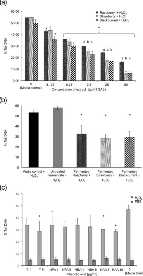 Figure 2. The anti-genotoxic effects of various types of berry extracts on HT29 cells