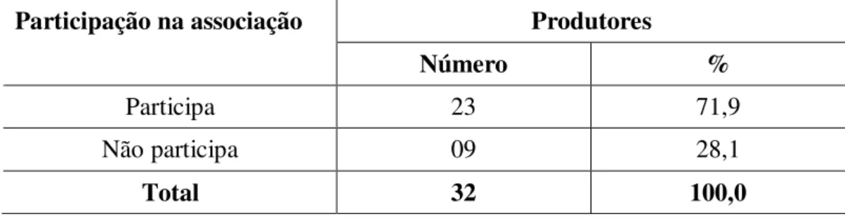 Tabela 17: Participação dos produtores em associação de maricultores em 2007.  Produtores Participação na associação  Número  %  Participa  23  71,9  Não participa  09  28,1  Total  32  100,0 